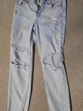 American Eagle Strigid Mom Jean 10XLong